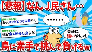 【2ch面白いスレ】【悲報】なんJ民さん、鳥に素手で挑んで負けてしまうw w w【ゆっくり解説】