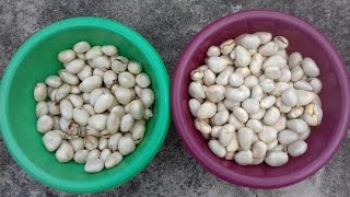 কাঁঠাল বীজ এর একটা দারুন রেসিপি শেয়ার করলাম,  jackfruit seeds recipe  #myvillfoodvlog #viral #vlog