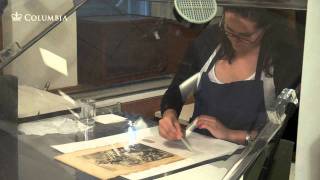 A Tour of Columbia University's Conservation Lab