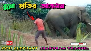 বুনো হাতির আক্রমন//man and elephant attack #desi#elephant#jhargram