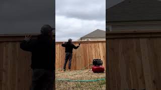 Cedar cap and trim fence #diy #fence #construction #shorts