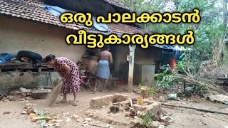 പാലക്കാടാൻ വീട്ടകയുടെ വീട്ടുവിശേഷൻ|village life