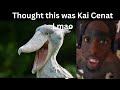 Yuno Miles - (Not Like Us) Kai Cenat Diss (Official Video)