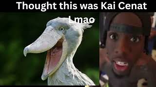 Juno Miles - (Not Like Us) Kai Cenat Diss (Official Video)