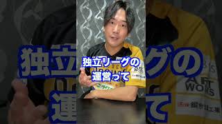 Q.独立リーグのユニフォームのスポンサーは個人のものですか？ #shorts