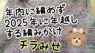 【かぎ針 棒針編み】2025年にもち越す編みかけをチラッと紹介☺