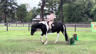 VTRC World Show Trail Rider Topaz and Heidi