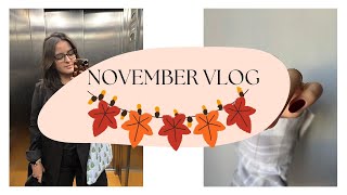 November vlog - NEW NAIL SUPPLIES + Preparing for Christmas busy seasoN | Nails & Sunflowers 🌻