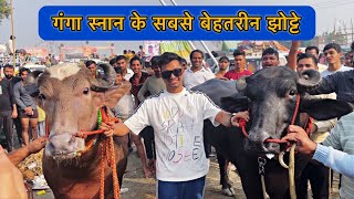 Sultan Bana Mele Ka No.1 Bull 🔥|| GarhGanga 2024 || ​⁠​⁠@Bull.Rider-Vlogs