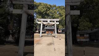 神社に行きました・若宮八幡宮・江南市・広い境内に恵比寿、大黒さまなどがあり楽しめました。#お願い #神社巡り #神社 #お参り #お祈り #元気 #心安らぐ