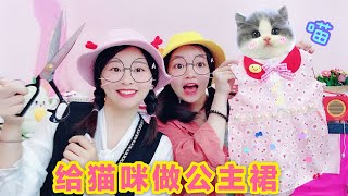 耗时6个小时，给猫咪制作公主裙，结果表妹却说“姐，它是公猫”【花甜HuaTian】