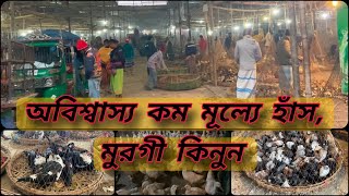 পাইকারি মূল্য হাঁস , মুরগী কিনুন ! Buy wholesale chicken, Duck.