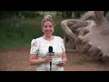 Inside New ‘Human+Nature’ Exhibit at the Morton Arboretum