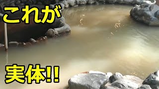 【尾瀬老神温泉】尾瀬の秘境！伊東園ホテル・老神山楽荘の絶品温泉を徹底解説！