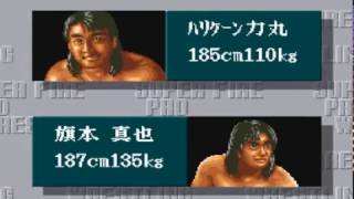 スーパーファイヤープロレスリング