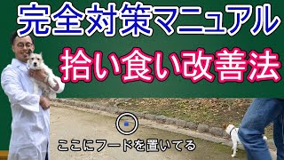 拾い食いは緊急事態宣言の共通点から改善できる！