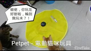 Petpet - Cat's Meow / Undercover Mouse 電動貓咪玩具 (P0002)