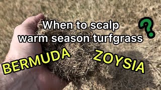 When to scalp warm season turfgrass, such as Bermuda and Zoysia