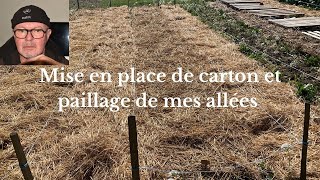 Mise en place de carton et paillage