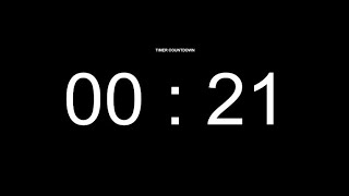 21 Seconds Countdown Timer