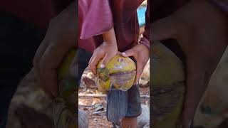 Peel the coconut in 5 seconds #ytshorts