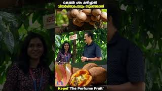 ഈ പഴം കഴിച്ചാൽ വിയർപ്പിനുപോലും സുഗന്ധമാണ്