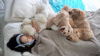 体調不良のママの傍から愛犬2匹が離れません