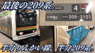 【全然違う車内】八高線ハエ71編成に乗ってきた。