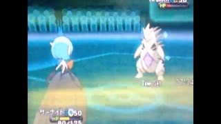 ポケモンｘｙ対戦実況　物理メガサーナイト編