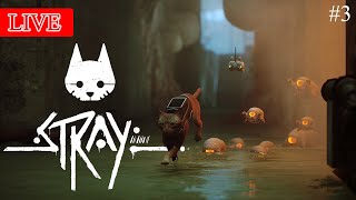 🔴Live - Stray [mod] ชูแมวขึ้นแล้วหมุน ๆ \