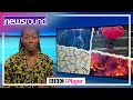 Climate change: YOUR QUESTIONS answered | Newsround