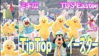 ºoº [ミッキー広場 完全版] TDS ディズニーシー Tip-Top イースター うさピヨ  (ミッキーミニーグーフィーポジション)TokyoDisneySEA Tip-Top Easter