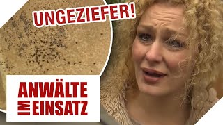 Wohnung mit Ungeziefer verseucht: Arme Mieter werden gegängelt! | 1/2 | Anwälte im Einsatz SAT.1