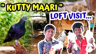 💥🕊️ புறாவுக்காக தான் வீட்டிலிருந்து வெளிய வந்துட்டேன் | Young Pigeon Fanciers in Sivagangai |