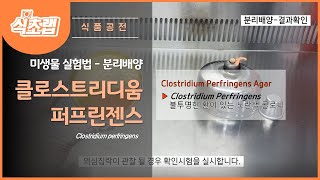 MBcell 식품공전 클로스트리디움 퍼프린젠스 시료 분리배양 실험하기! ( Clostridium perfringens )