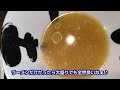 茨木きんせい【こだわり塩ラーメンと炙りチャーシュー丼】2021.11.11