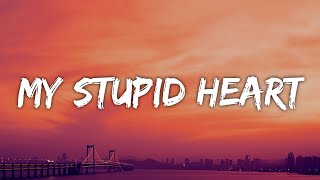 Walk off the Earth - My Stupid Heart (Lyrics) ft. Luminati Suns