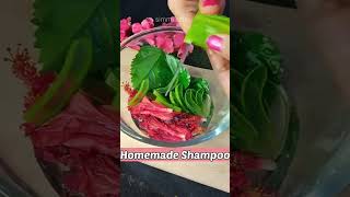 World's 🌍 Best Natural Shampoo for Hair Growth | DIY Hibiscus Shampoo at home #shorts #shampoo