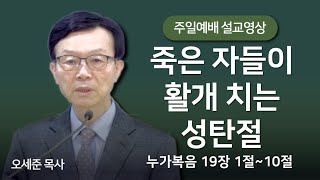 죽은 자들이 활개 치는 성탄절 (누가복음 19장 1절~10절) 주일예배 새누리교회 오세준목사 2024. 12. 22