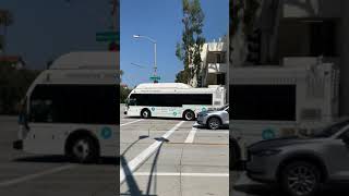 Pasadena, California - Pasadena Transit Bus