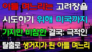 [읽어드림] 아들 며느리는 고려장을 시도하기 위해 미국까지 가지만 비참한 결국: 극적인 탈출로 생거지가 된 아들 며느리 ...네이트판ㅣ레전드썰ㅣ사이다썰