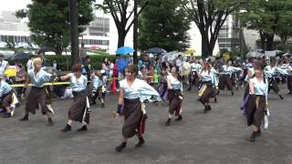 学生よさこいチームおどりんちゅ／NHK前ケヤキ並木通り／原宿表参道元氣祭スーパーよさこい2015（初日）