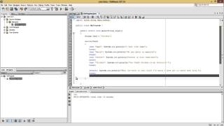 Java Basics | Using Switch Statement