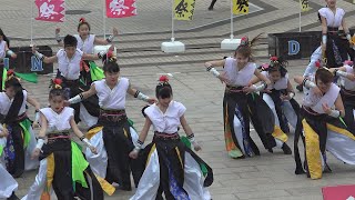 SAKADO WINDS in ひたち舞祭2015