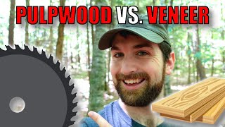 Understanding Pulpwood, Sawtimber, and Veneer