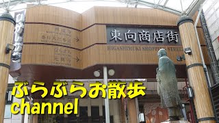 ぶらぶらお散歩　商店街を歩く　奈良『東向商店街』から『餅飯殿センター街』