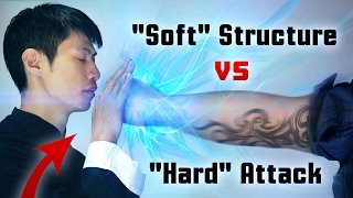 Wing Chun - "Soft" Structure vs 917+ pound "Hard" Attack!
