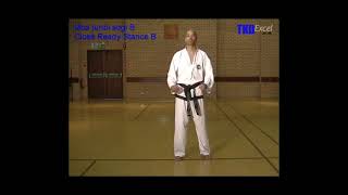 Stances:   Close ready stance B (Moa Junbi Sogi)