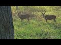 മുത്തങ്ങ കാട് കണ്ടാലോ muthanga wild life jeep safari