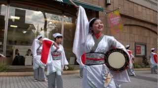 満天さん  府中よっちょれ！よさこい2013